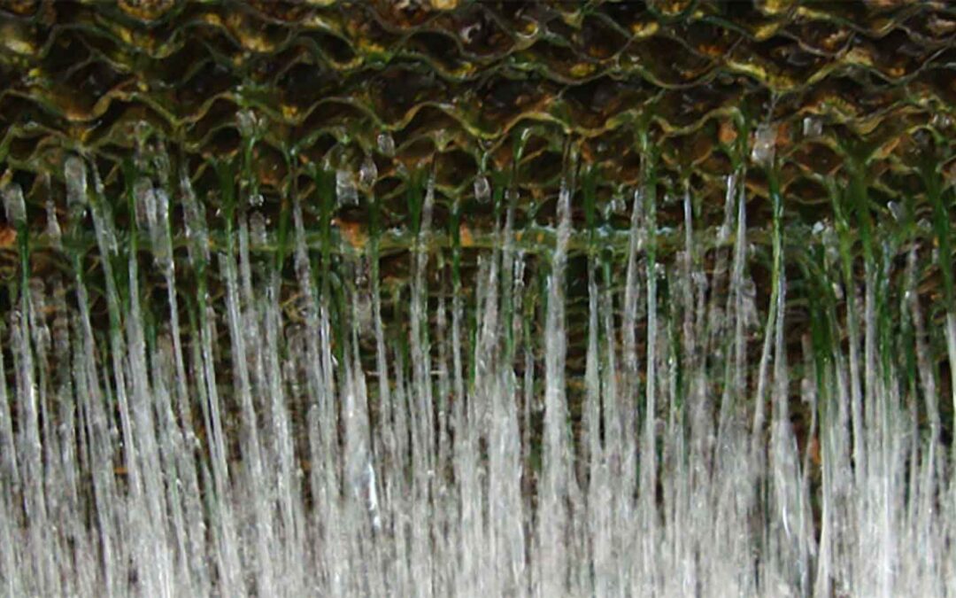 Learn why Legionella maintenance is critical for cooling towers?