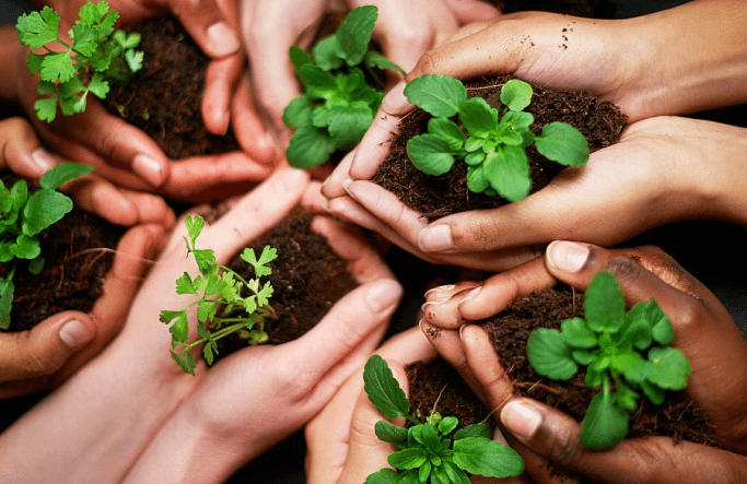 Environment Friendly